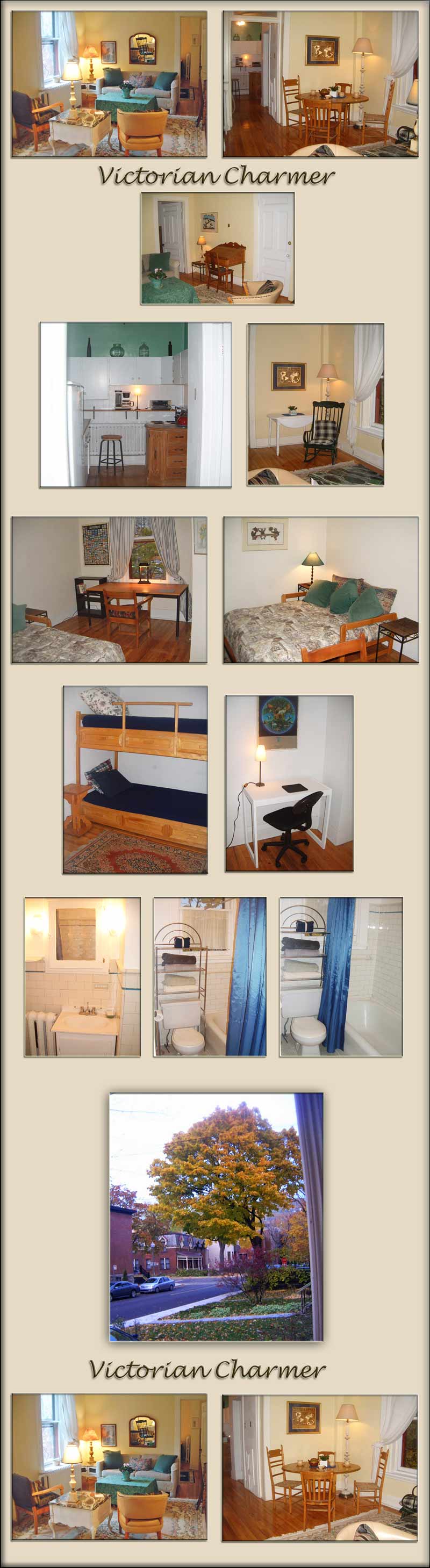 charming apartment, furnished, central, in Montreal