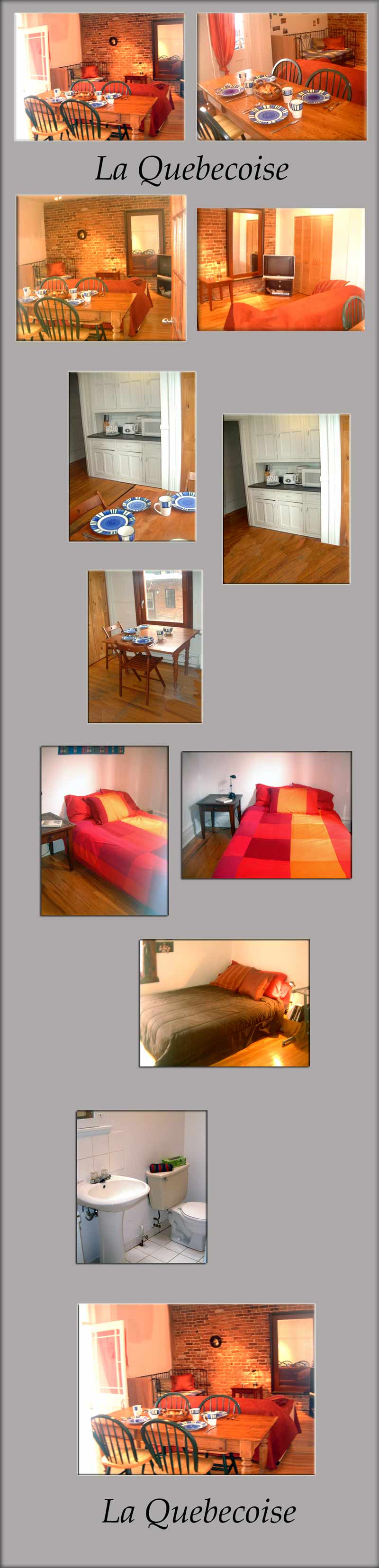 Montreal vacation rental plus. Quartier Latin condo apt. Large photos.