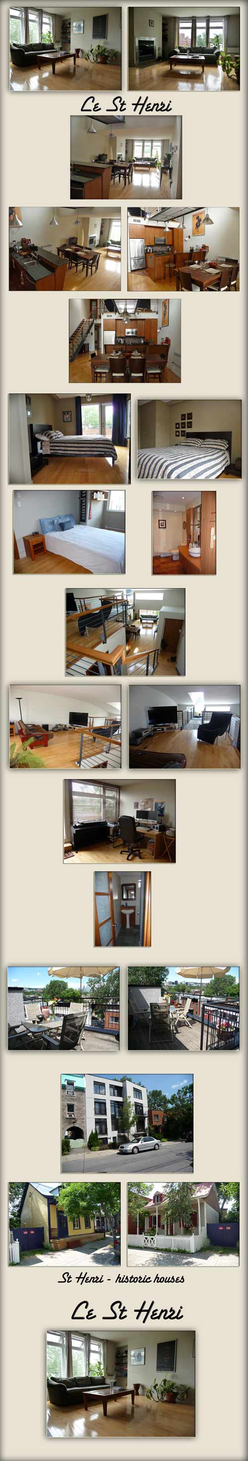 Montreal furnished loft condo - with everything - fireplace, terrace, dishwasher = new in revitalized area
