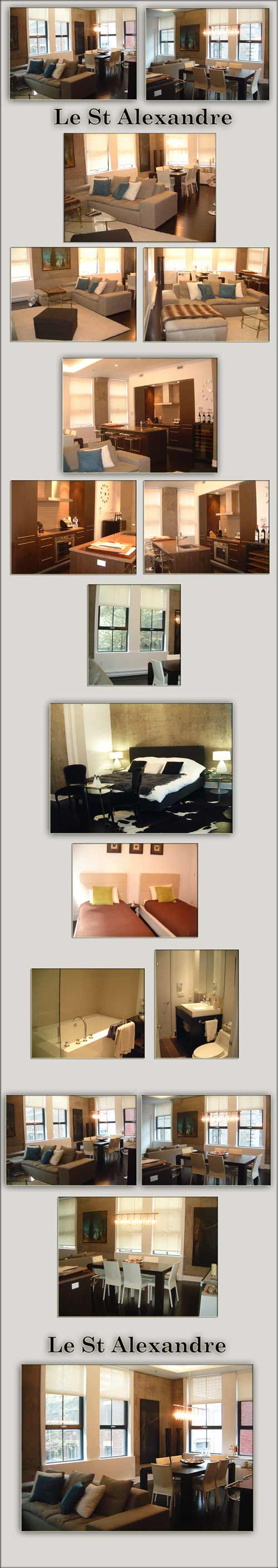 Deluxe Montreal luxury rental - LE ST ALEXANDRE, for superb downtown Montreal luxury rentals