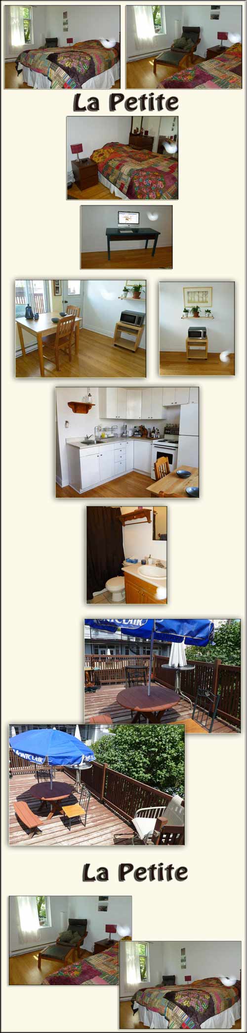 Montreal short erm apartments - Plateau Mont Royal vacation rental