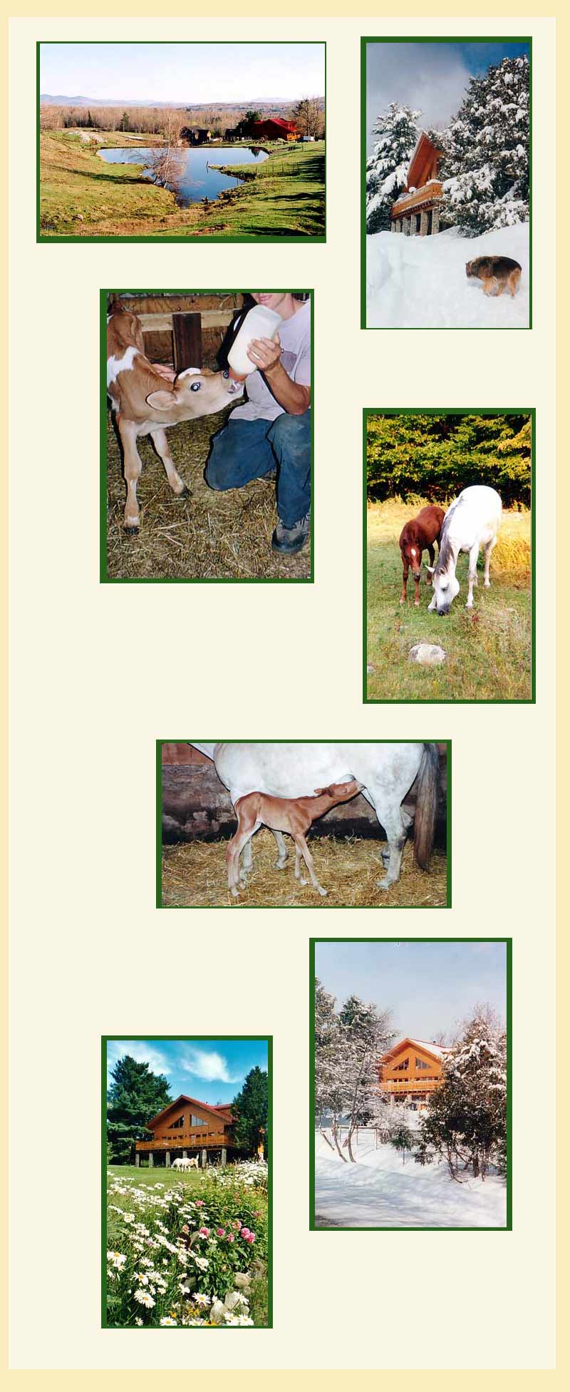 Eastern Townships chalet studio, private lake, near Sutton ski - nature, lake, horses