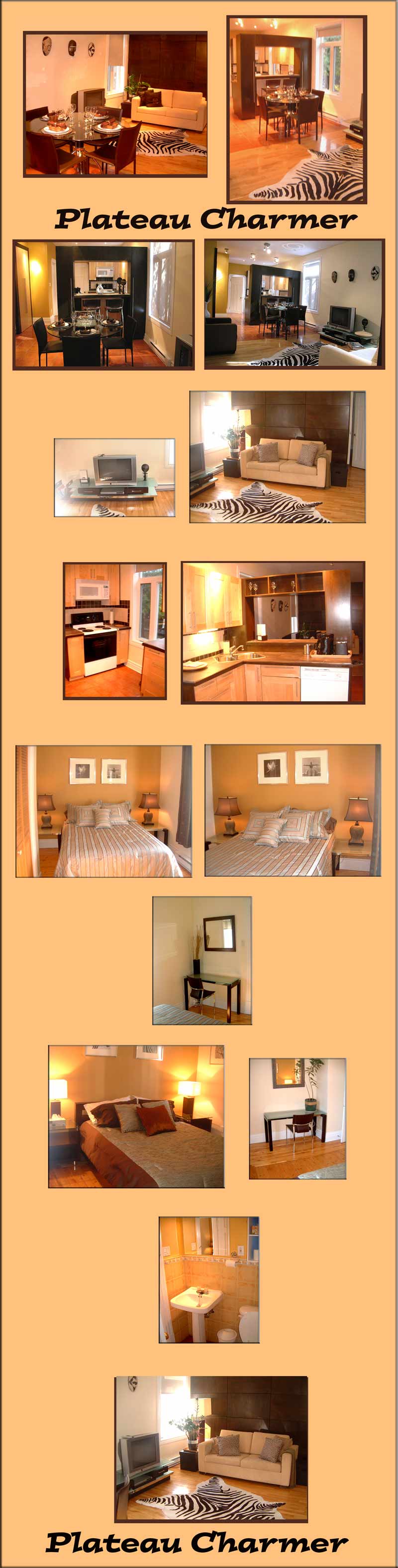 Montreal location vacances, location appartement courte terme, 2 chme Plateau = grandes photos